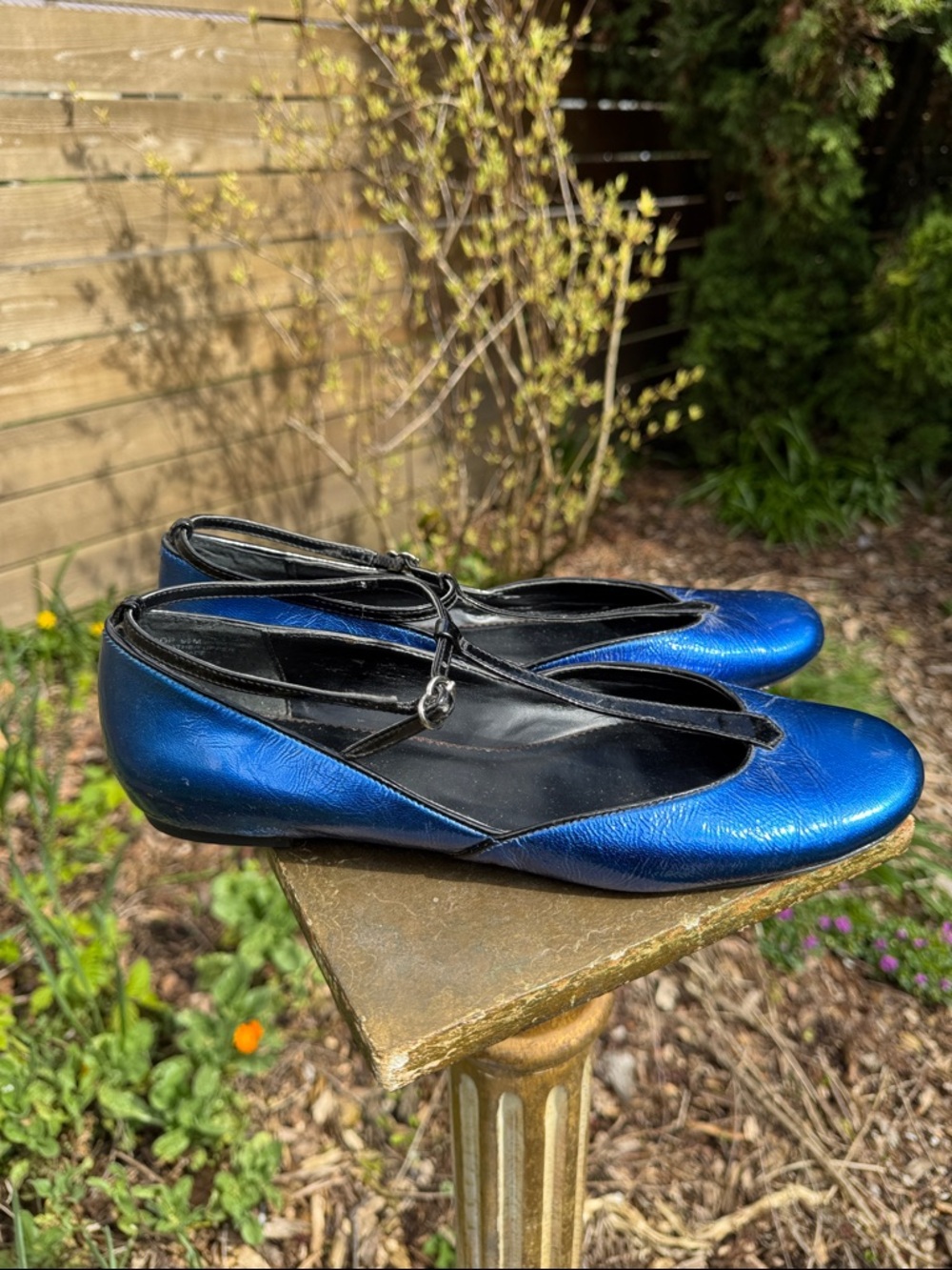 Oh…DEER! Metallic Blue and Black T-Strap Ballet Flats